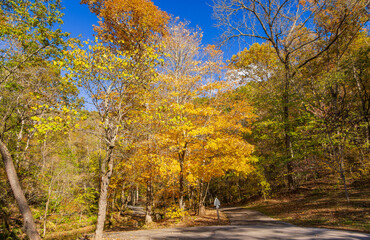 Sunny view of the beautiful autumn landscape in Dogwood Canyon Nature Park