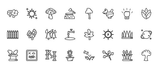 24 set of outline web nature icons such as sun flare, paper birch tree, silver maple tree, grass leaves, daisy on pot vector thin icons for report, presentation, diagram, web design, mobile app
