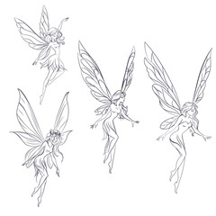 Collection of vector lined beautiful fairy nymphs in elegant style