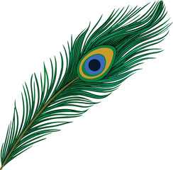 Obraz premium Illustration of a vibrant peacock feather with green fronds and an eye-like pattern in blue and gold, set against a white background. Elegant and colorful.