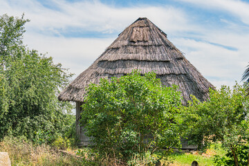 Ancient Central European village scene with a thatched earthen hut in a lush setting The hut, surrounded by verdant foliage, has a conical roof of dried grass and earth-toned mud walls No doors or
