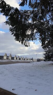 Fresh snow covering the grass on a long row of duplex homes down a subdivision street with branches from a pine tree in the foreground.