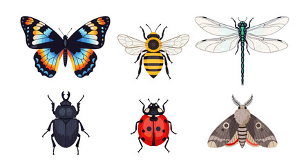 Illustration of six different types of insects on a white background