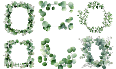 Elegant Eucalyptus Wreaths and Frames for Decorative Purposes