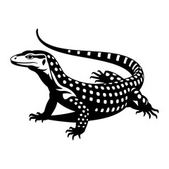 Ackie Monitor Lizard