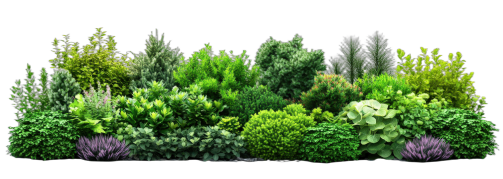 A variety of lush green plants and shrubs in a natural setting