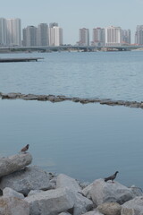 View of an ocean breakwater made by stacking big boulders on top of each other
