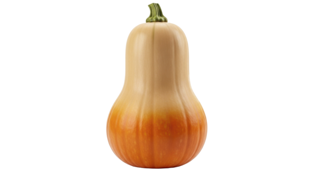  Single butternut squash standing upright on a transparent background, a healthy winter vegetable PNG image, fresh produce PNG file