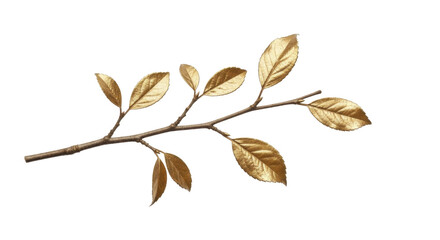 Obraz premium Golden branch with autumn leaves on a transparent background PNG image, elegant nature decoration PNG file