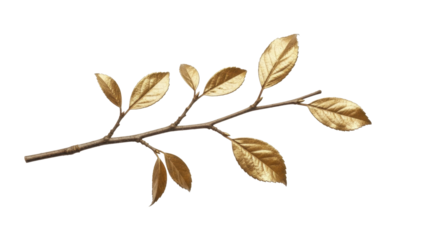 Golden branch with autumn leaves on a transparent background PNG image, elegant nature decoration PNG file
