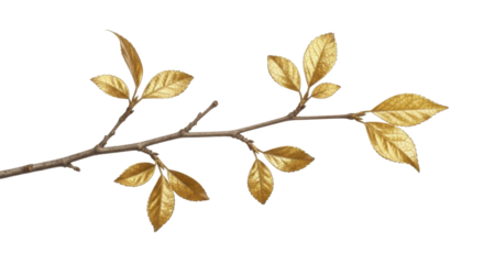Decorative golden tree branch with lustrous metallic leaves on a transparent background, PNG image, PNG file
