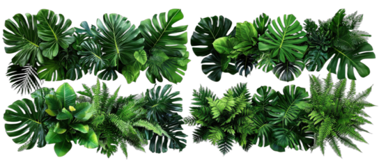 Collection of various green tropical plant leaves for nature themed design