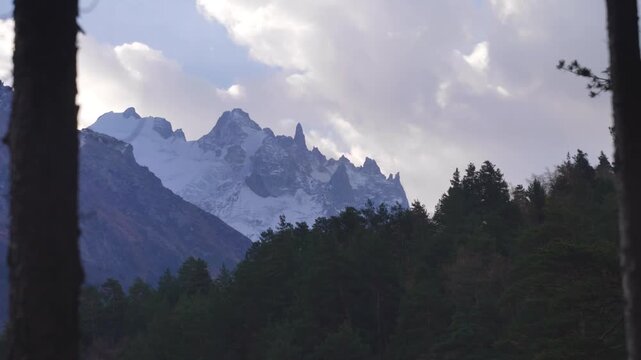 A view of the snow capped peaks of the North Caucasus mountains in Russia, with a dense forest of pine trees in the foreground.