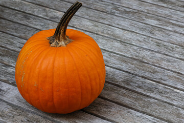 Pumpkin on Table