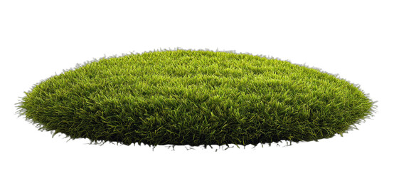 A lush green grassy mound for natural landscape decoration