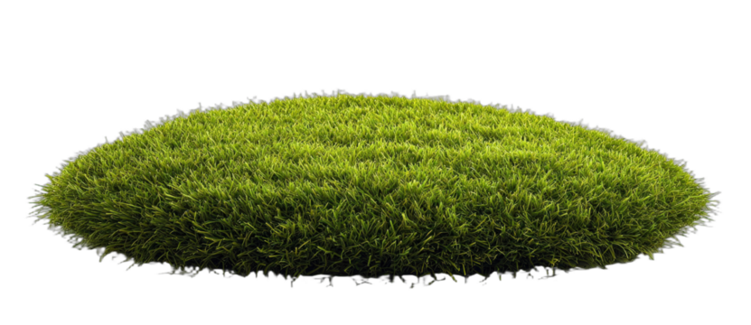 A lush green grassy mound for natural landscape decoration
