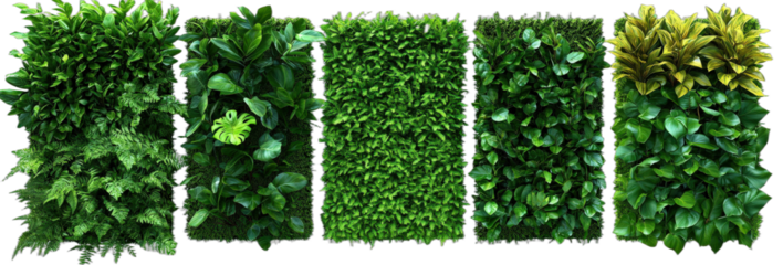 Green vertical garden with various types of plants for indoor decoration