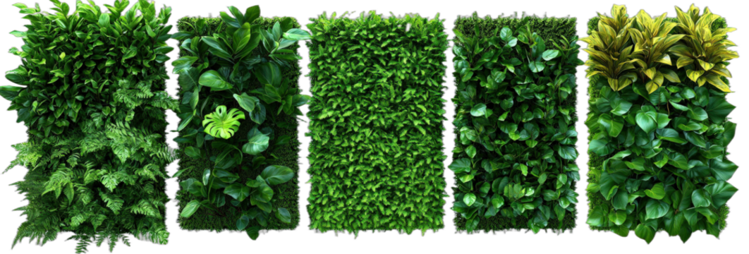 Green vertical garden with various types of plants for indoor decoration