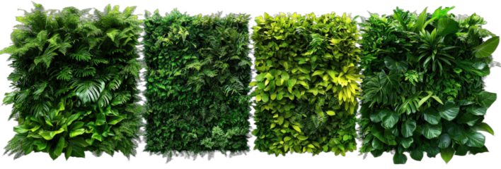 Green living walls with various types of plants