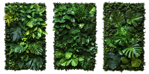 Three green plant walls with various leafy plants