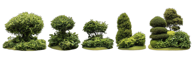 Fototapeta premium Various neatly trimmed green topiary plants in a row