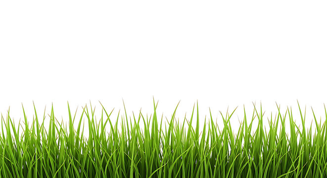 Vibrant green grass blades create a fresh, natural border perfect for spring and summer nature scenes or outdoor advertising campaigns.