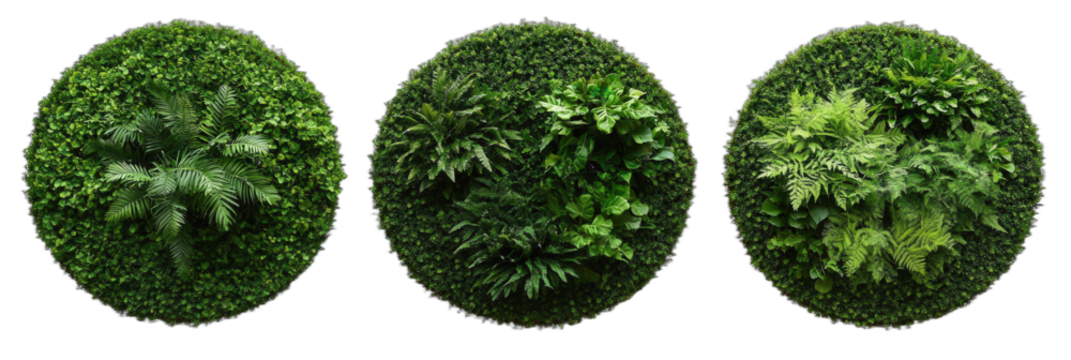 Round green plant walls with various leafy arrangements