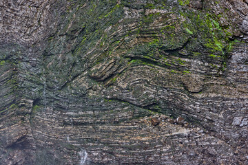 The cliff face of Gocta reveals itself like a massive natural mural: streaks of minerals, deep vertical fractures, and soft patches of moss clinging to impossible angles