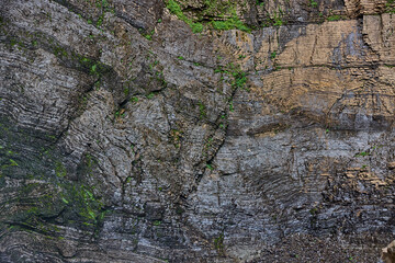 The cliff face of Gocta reveals itself like a massive natural mural: streaks of minerals, deep vertical fractures, and soft patches of moss clinging to impossible angles