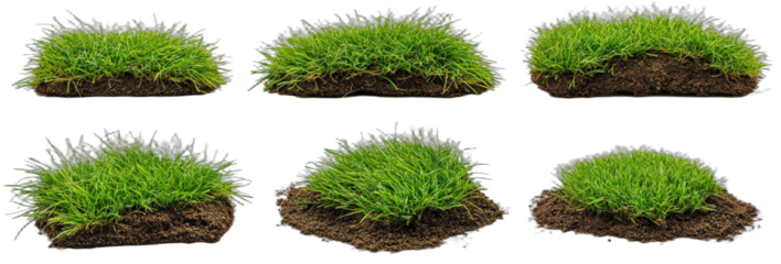 Different types of grass patches with soil for landscaping design