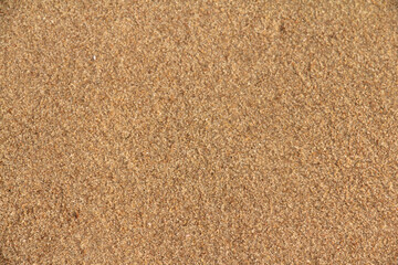 Beach sand texture background at the sea.