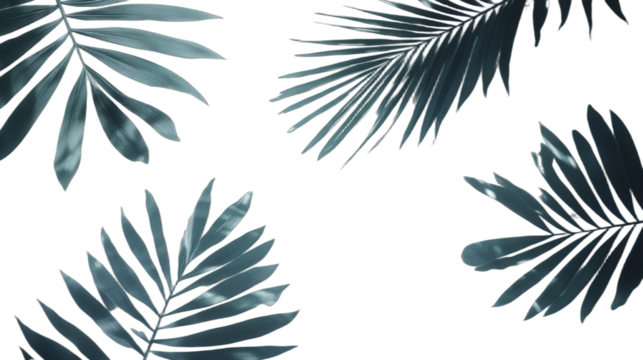 Beautiful tropical palm leaves with elegant design for nature inspired backgrounds