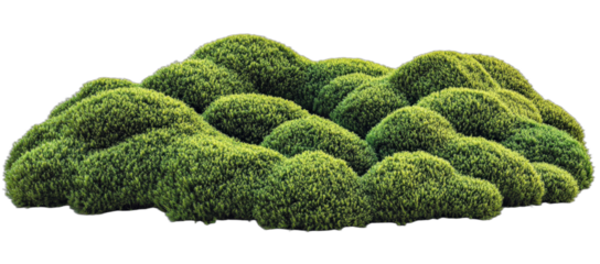 Lush green mossy mounds forming a natural and textured landscape