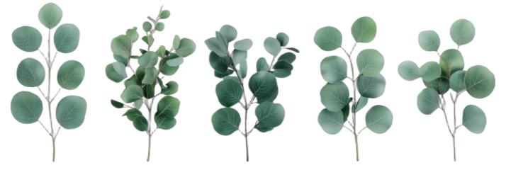 Collection of artificial eucalyptus branches for decorative purposes