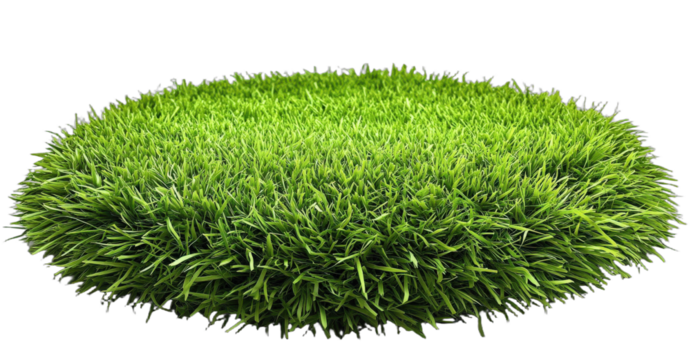 Round green grass patch with lush and vibrant appearance