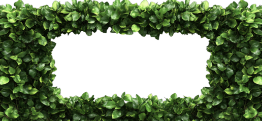 Rectangular frame made of green leafy plants for decorative purpose
