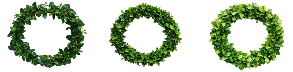 Fototapeta premium Green artificial leaf wreaths for decorative purposes