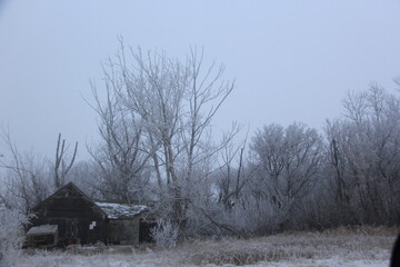 A frosty morning drive to an abandoned farm. 