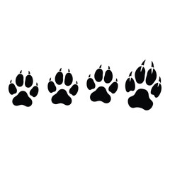 Paw prints