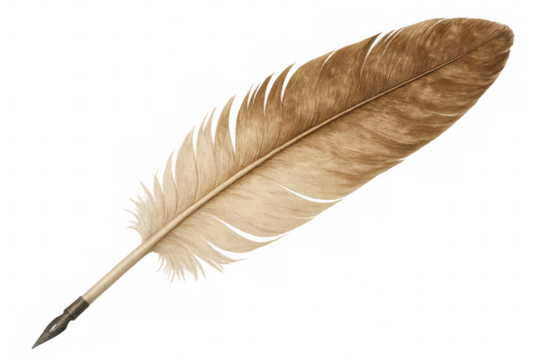 Quill pen feather for writing, signing documents, communication, and historical studies on transparent background