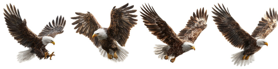 Majestic bald eagles soaring, powerful wildlife in flight, symbolizing freedom and American pride, dynamic birds of prey for patriotic themes and nature projects