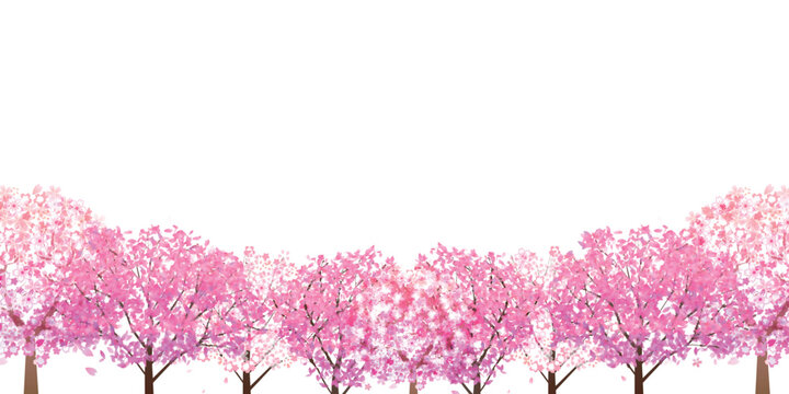 桜　春　風景　背景