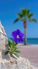 Vibrant Purple Flower with Water Droplets Blooms Beside a Tall Palm Tree Against a Clear Blue Sky and Ocean Horizon
