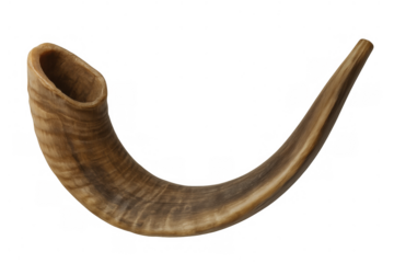 Shofar, a traditional ram's horn, serving as an ancient ceremonial musical instrument for jewish holidays and spiritual gatherings
