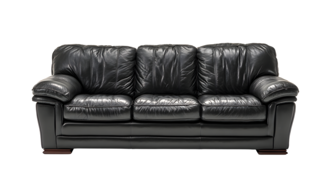 Luxurious black leather sofa for home decor