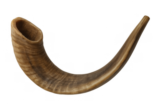 Shofar, a traditional ram's horn, serving as an ancient ceremonial musical instrument for jewish holidays and spiritual gatherings