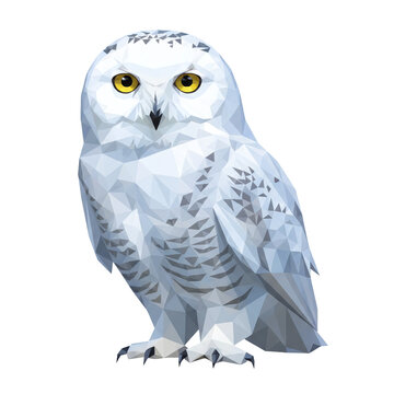 Low poly snowy owl standing front view