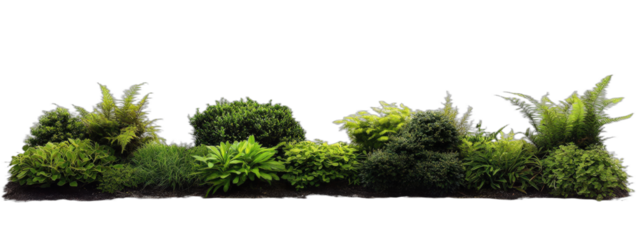 A variety of lush green plants forming a dense and vibrant plant arrangement