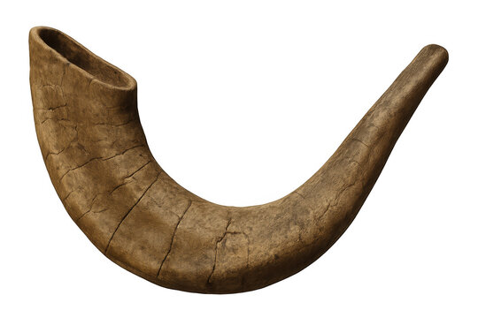 Shofar ram's horn, ancient religious instrument symbolizing rosh hashanah and yom kippur, on transparent background