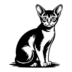 Abyssinian Cat